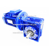 Worm Gear Motor Used in Electric Screw Jack Platform Lift